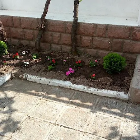 Izvora Pensión